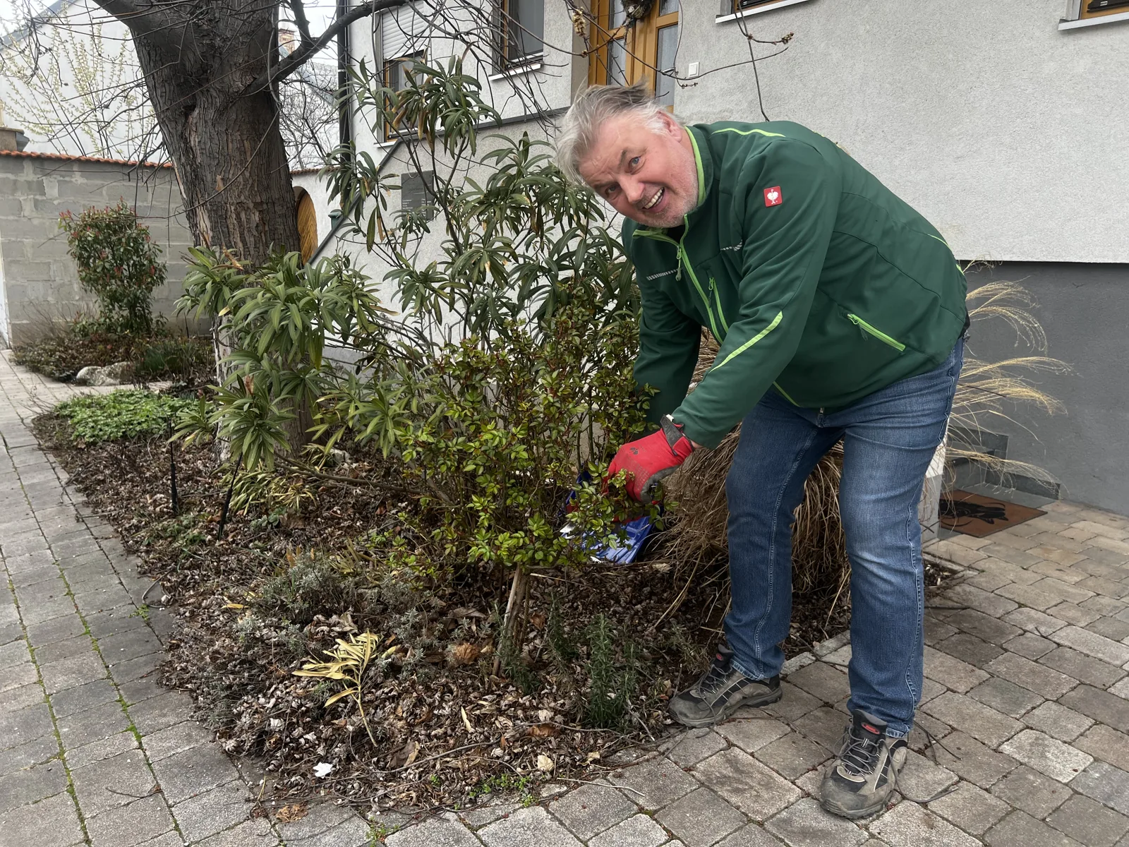 Werner Biedermann beim fachgerechten Strauchschnitt